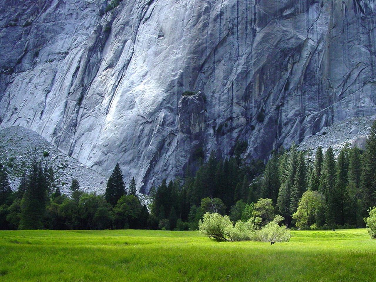 обои Серая скала фото