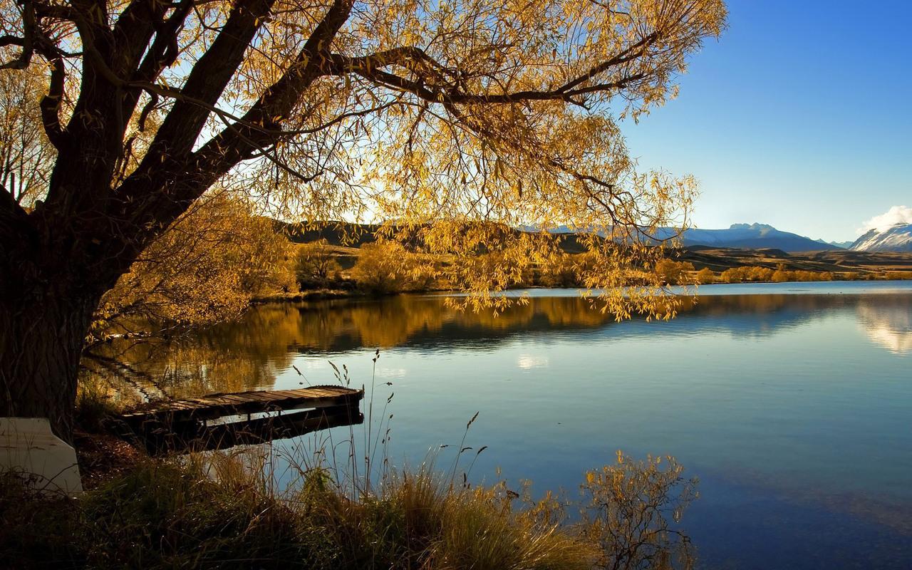 обои Новая Зеландия, Lake Alexandrina фото