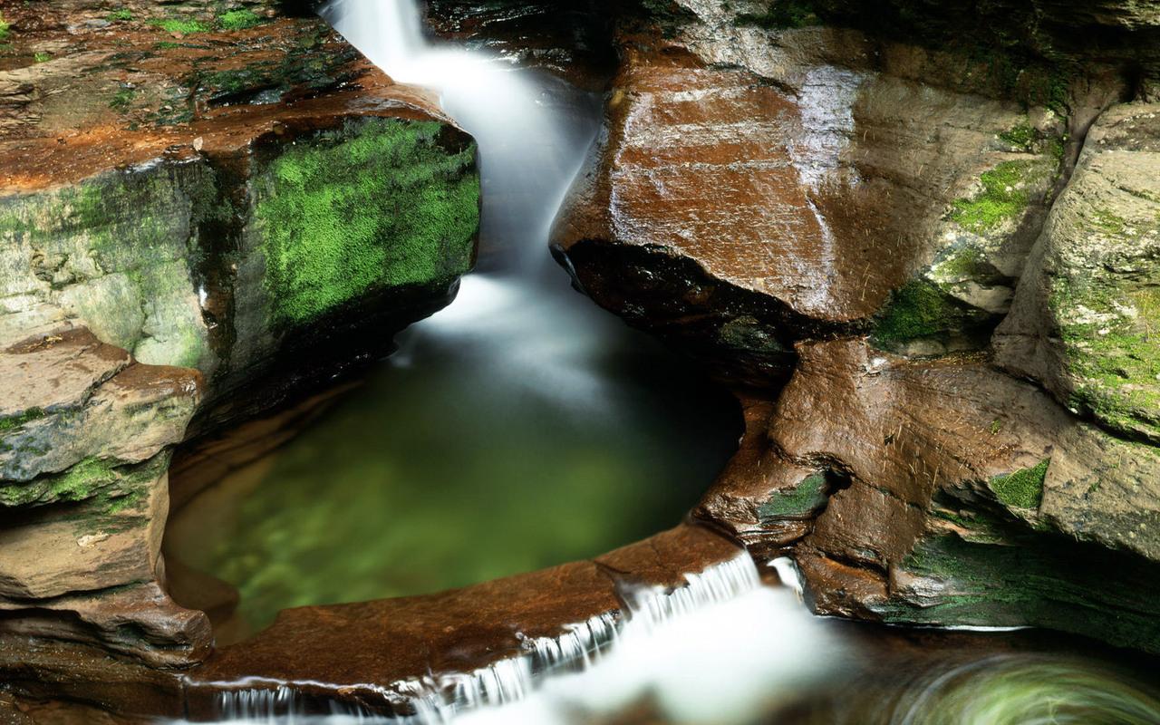 обои Пенсильвания, Ricketts Glen State Park фото