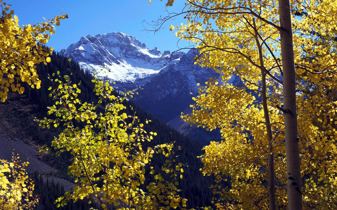 обои Колорадо, Uncompahgre National Forest, U.S. Grant фото