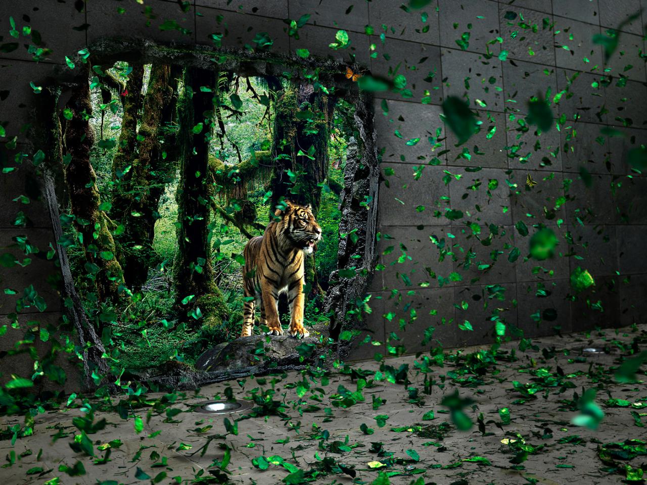 обои Тигр в джунгляч фото