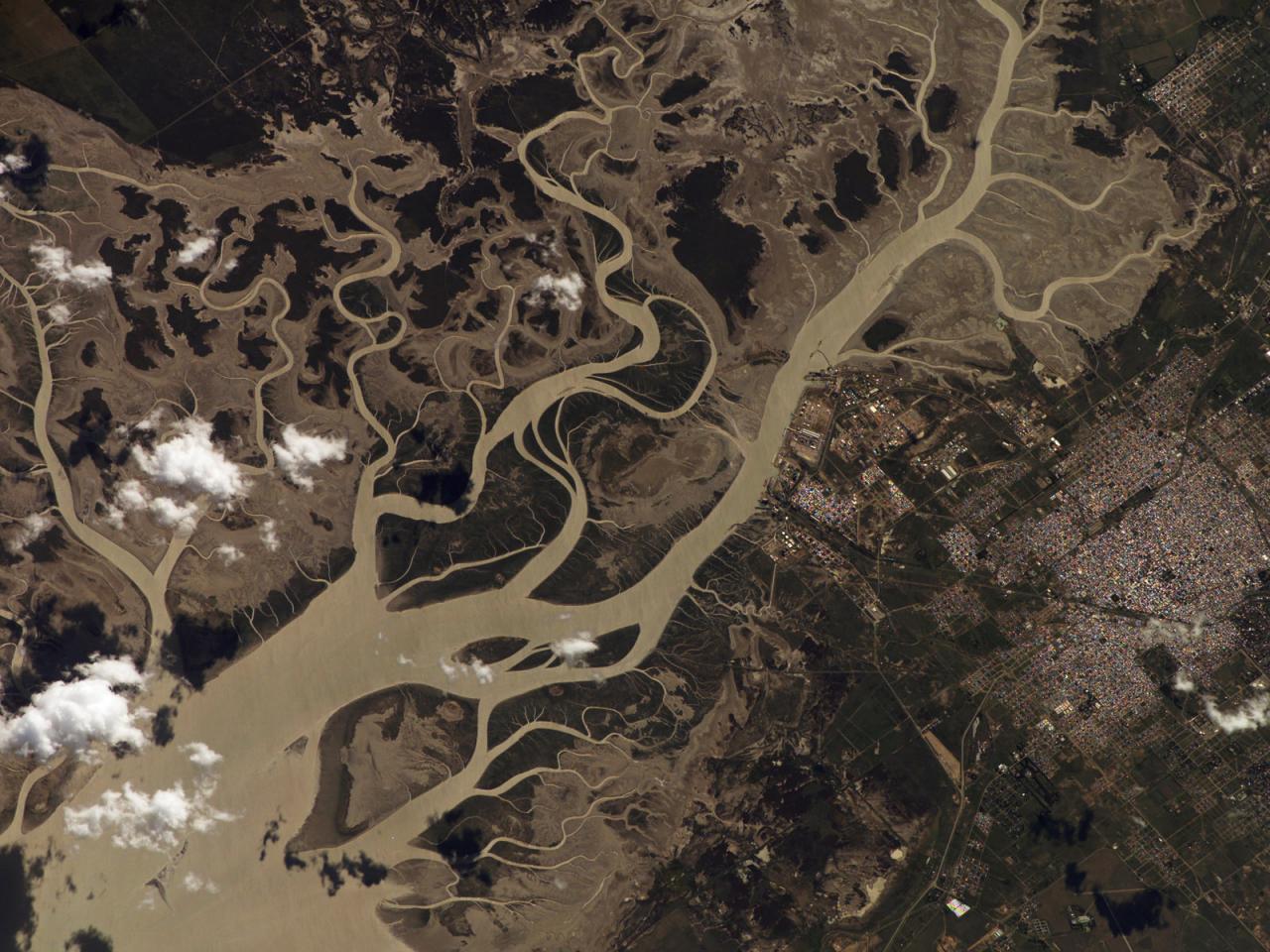обои Река из космоса фото