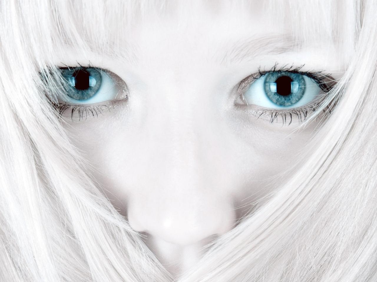 обои Голубые глаза фото