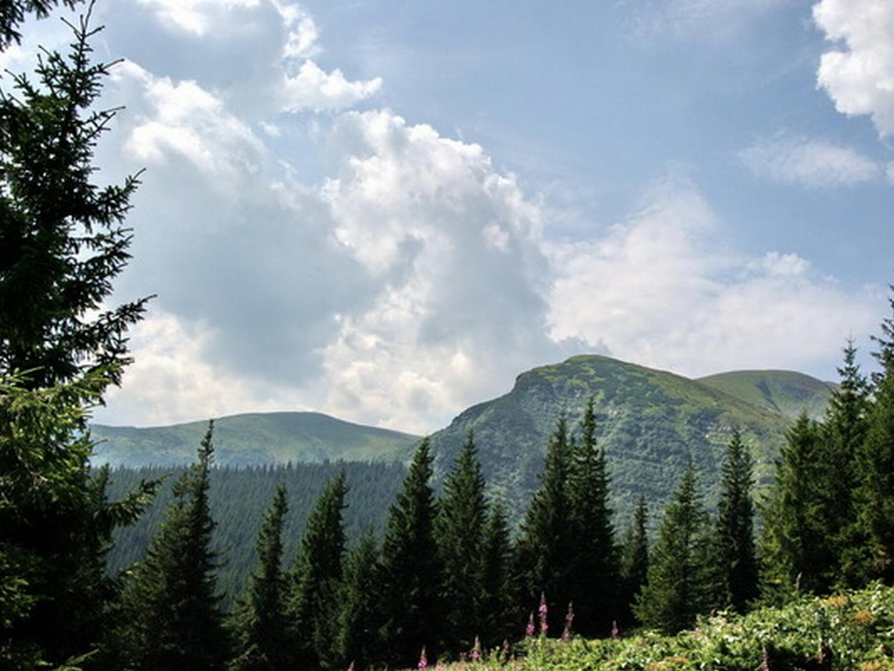 обои Там,   за облаками фото