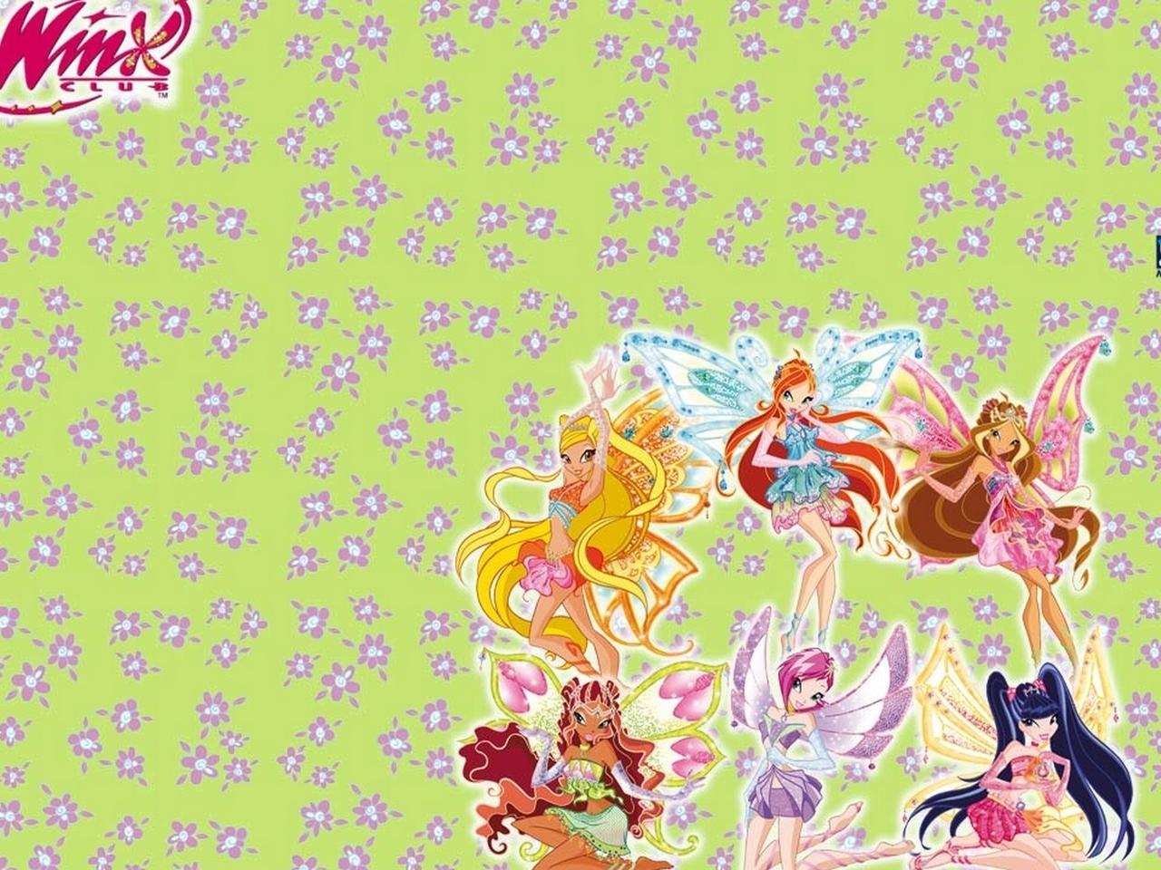 обои Winx Club фото