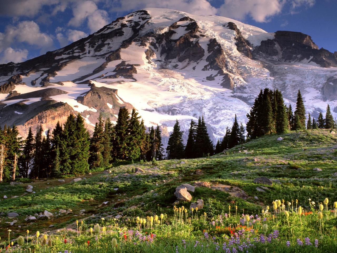 обои Wildflowers and Mount Rainier,   Washington фото