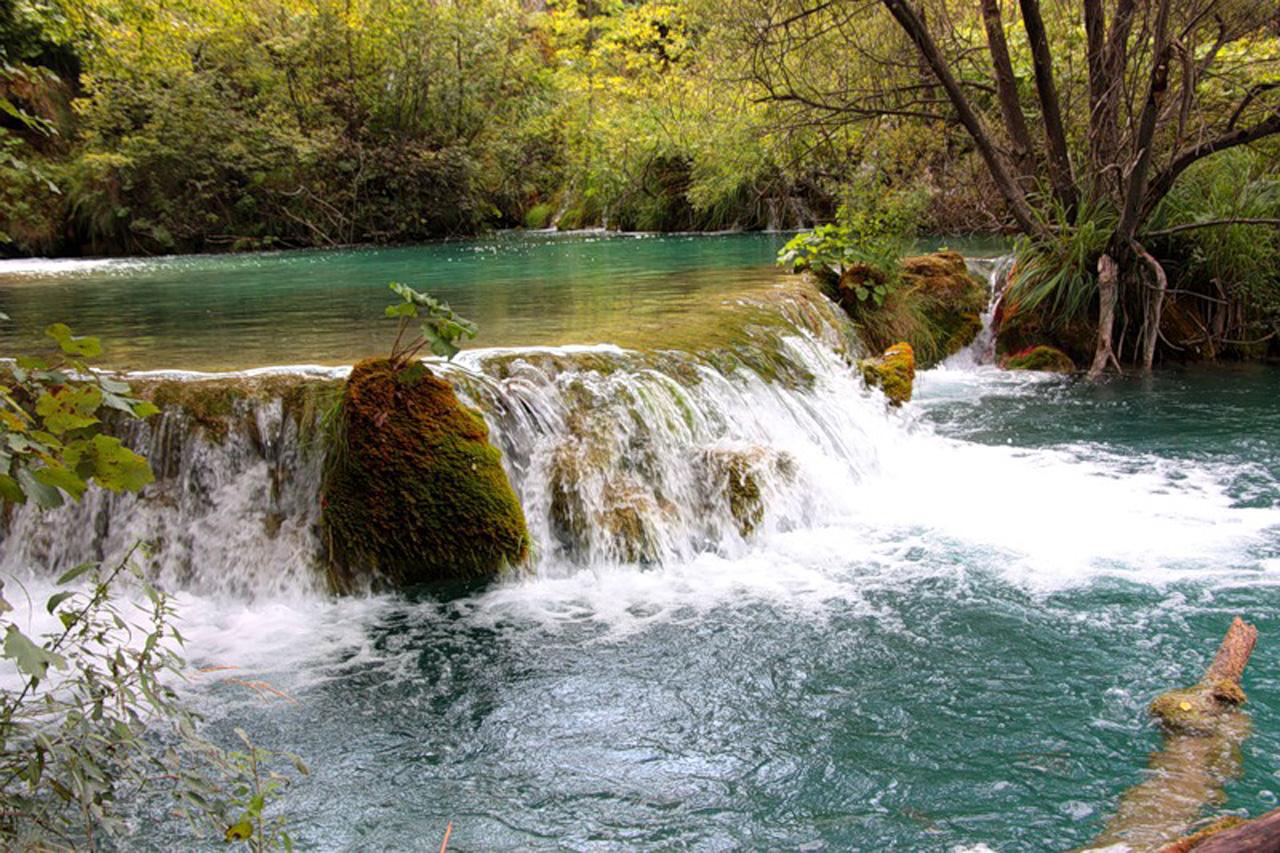 обои Летний водопад фото