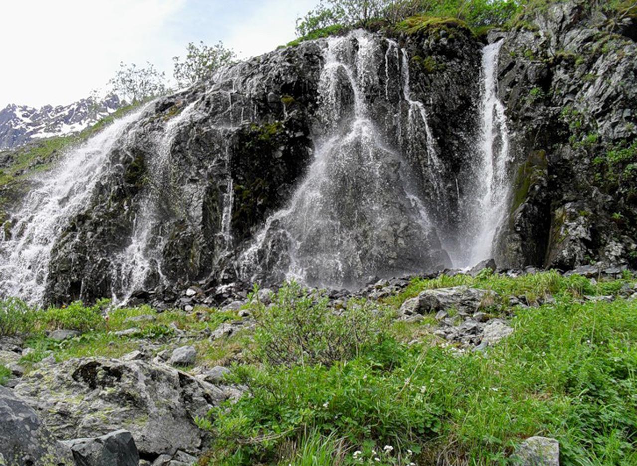 обои Летняя лужайка и водопад фото