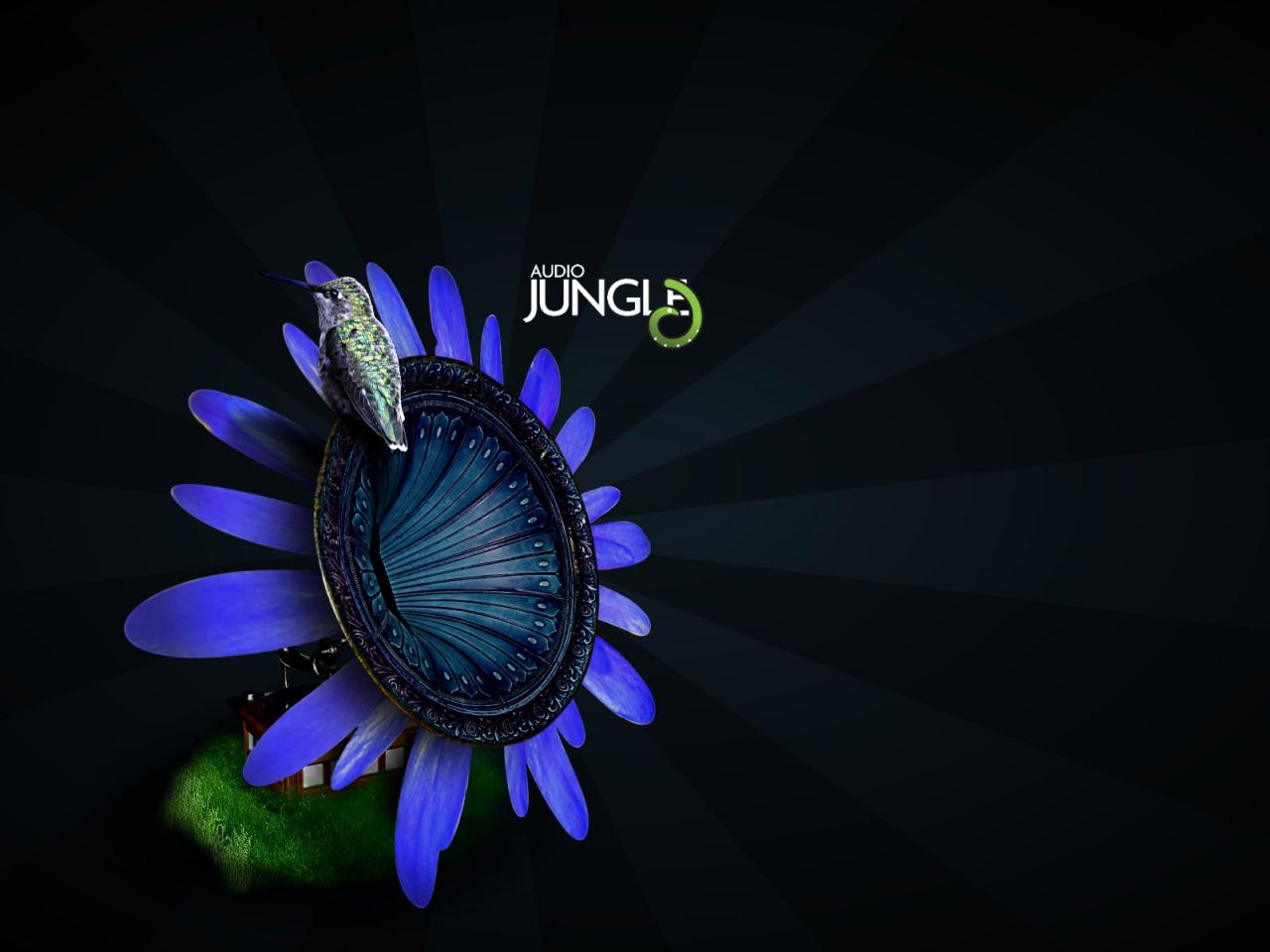 обои Audio Jungle цветок фото