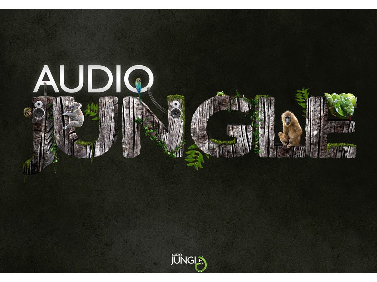 обои Audio Jungle фото