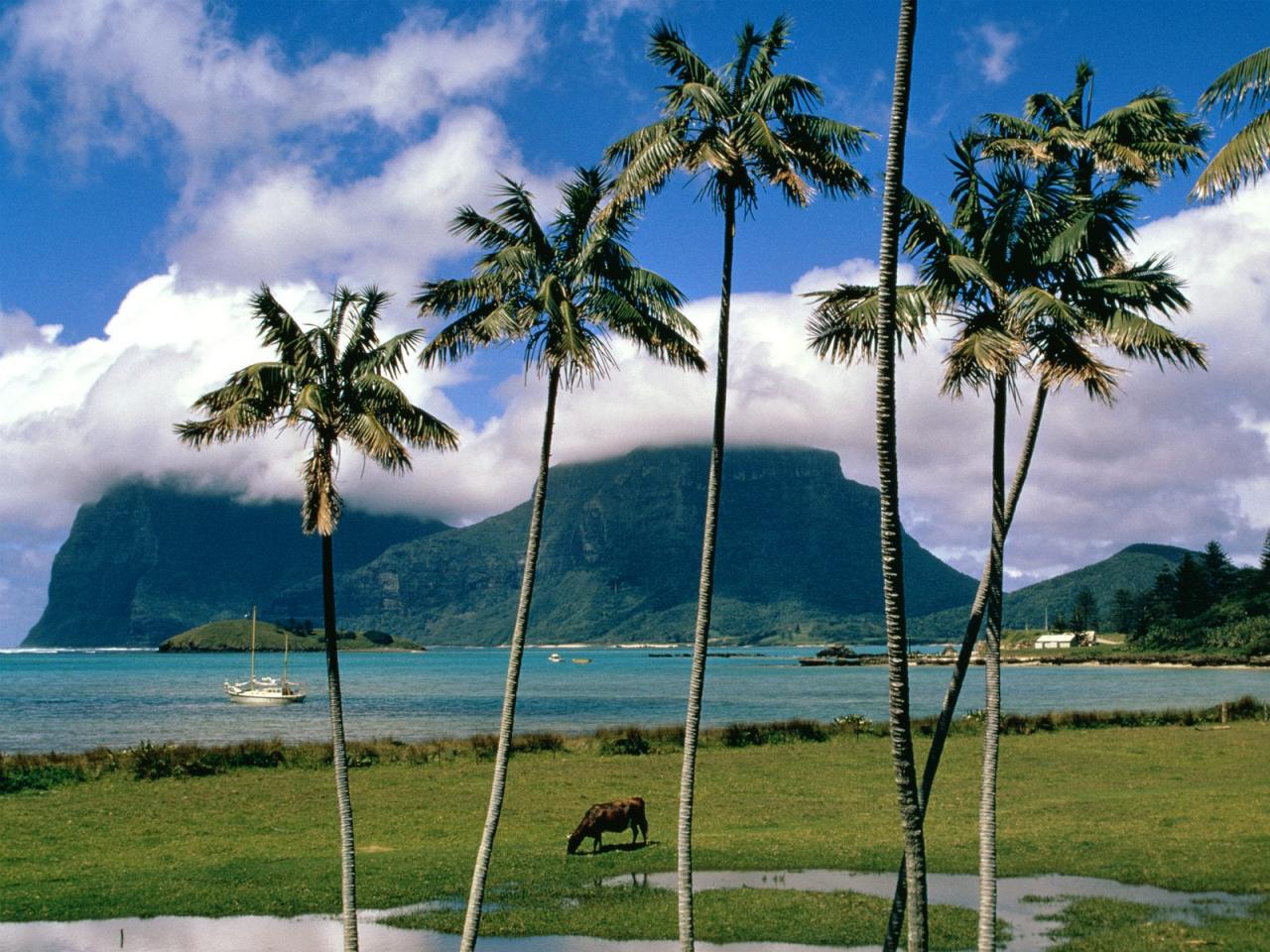 обои Lord Howe Island,   Australia фото