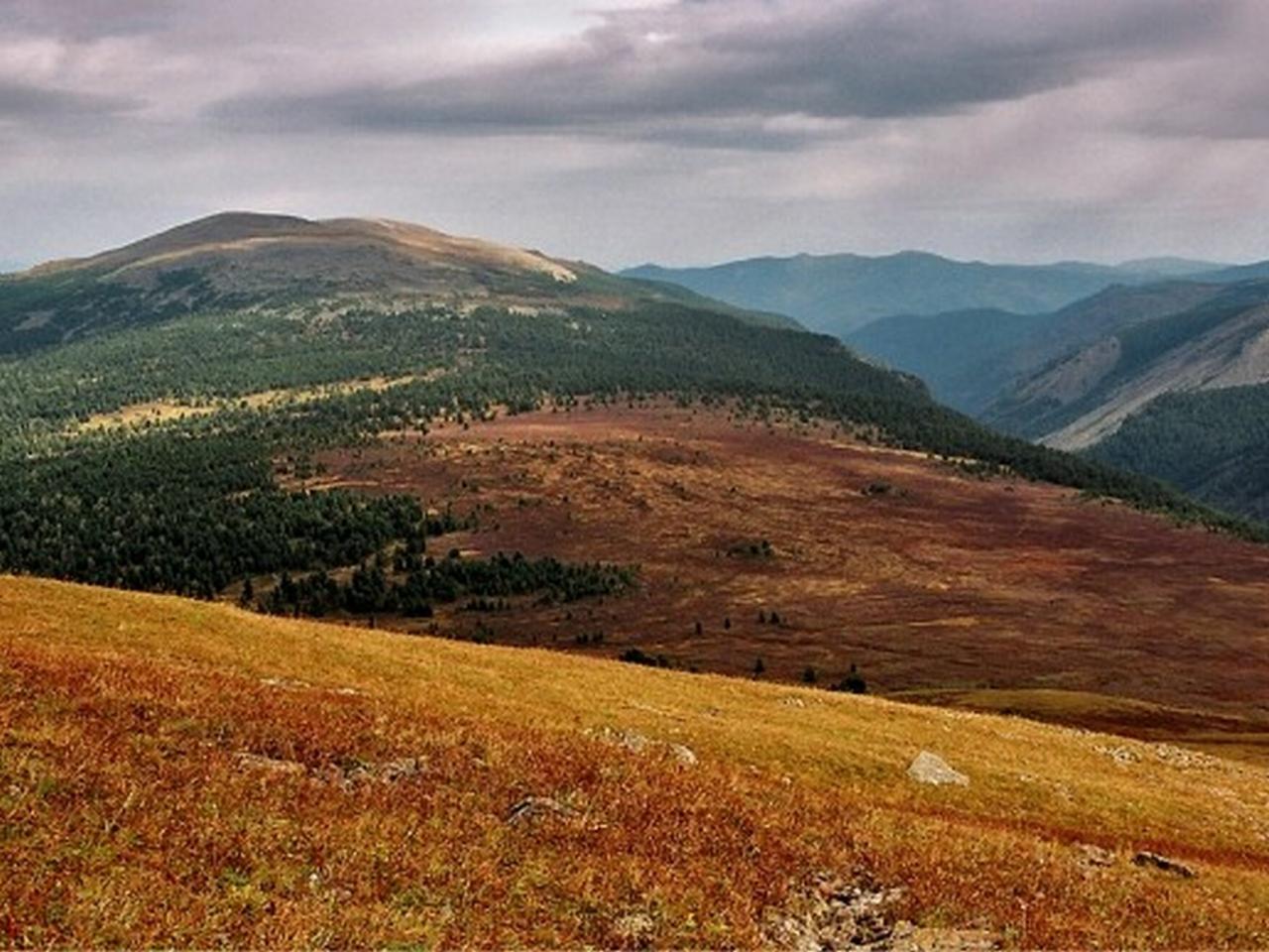 обои За гарой Багаташем фото