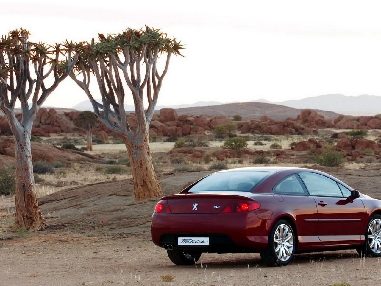 обои Peugeot 5F407coupe вид авто на иллюстрированом фоне фото