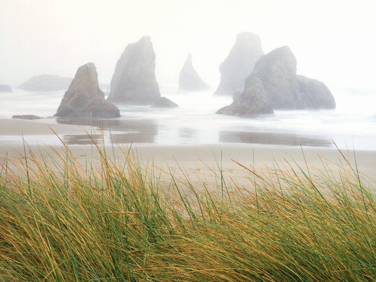 обои Seastacks In Fog Bandon фото