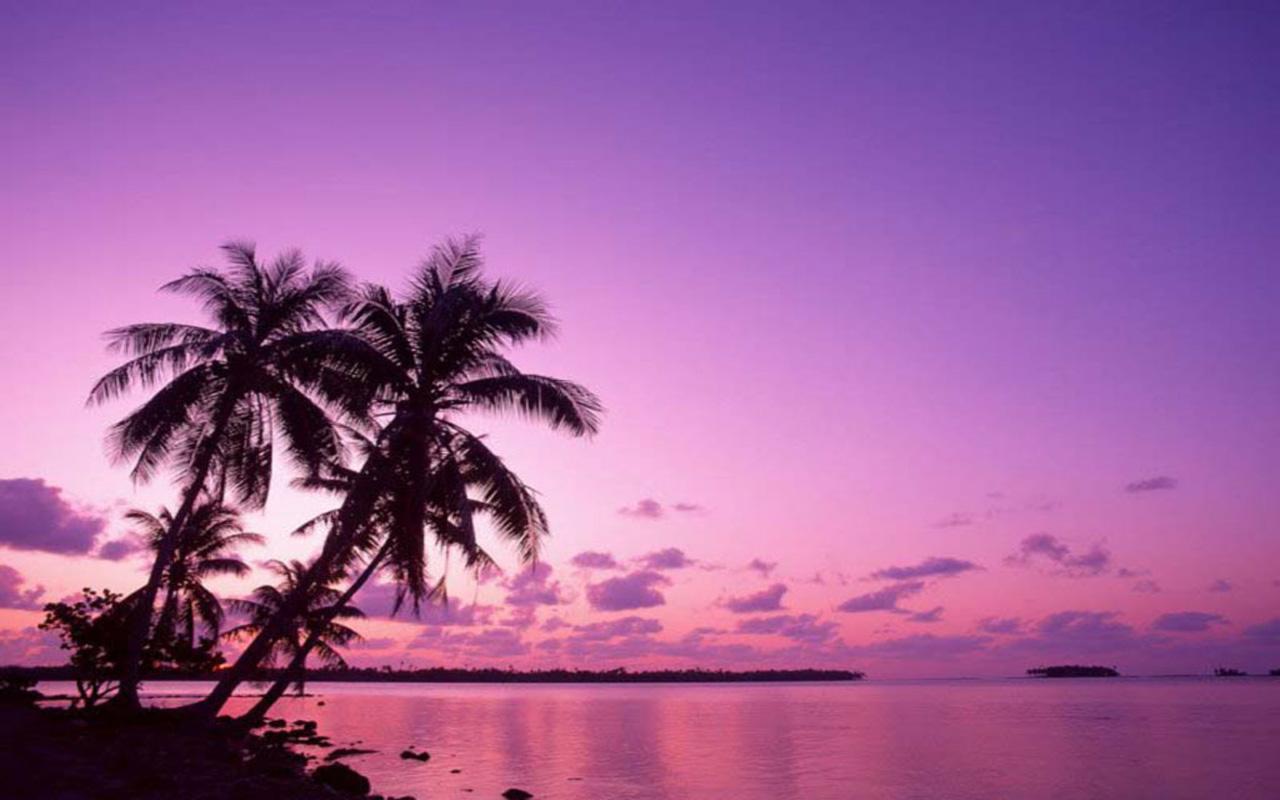 обои Фиолетовое небо фото