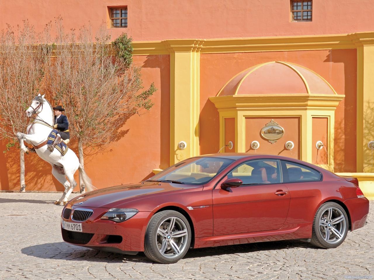 обои BMW M6 рядом с лошадью фото