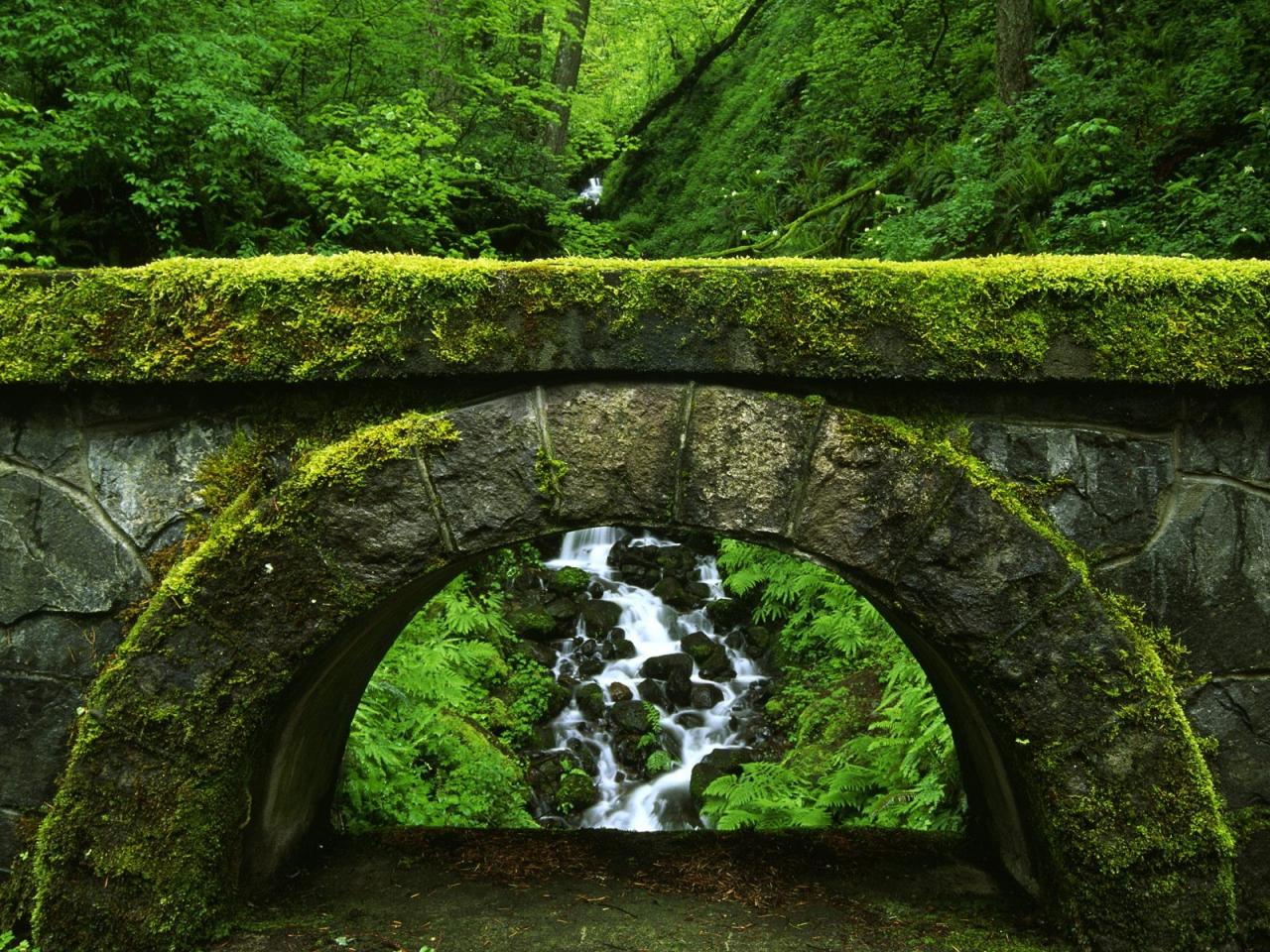 обои Водопад и мост фото
