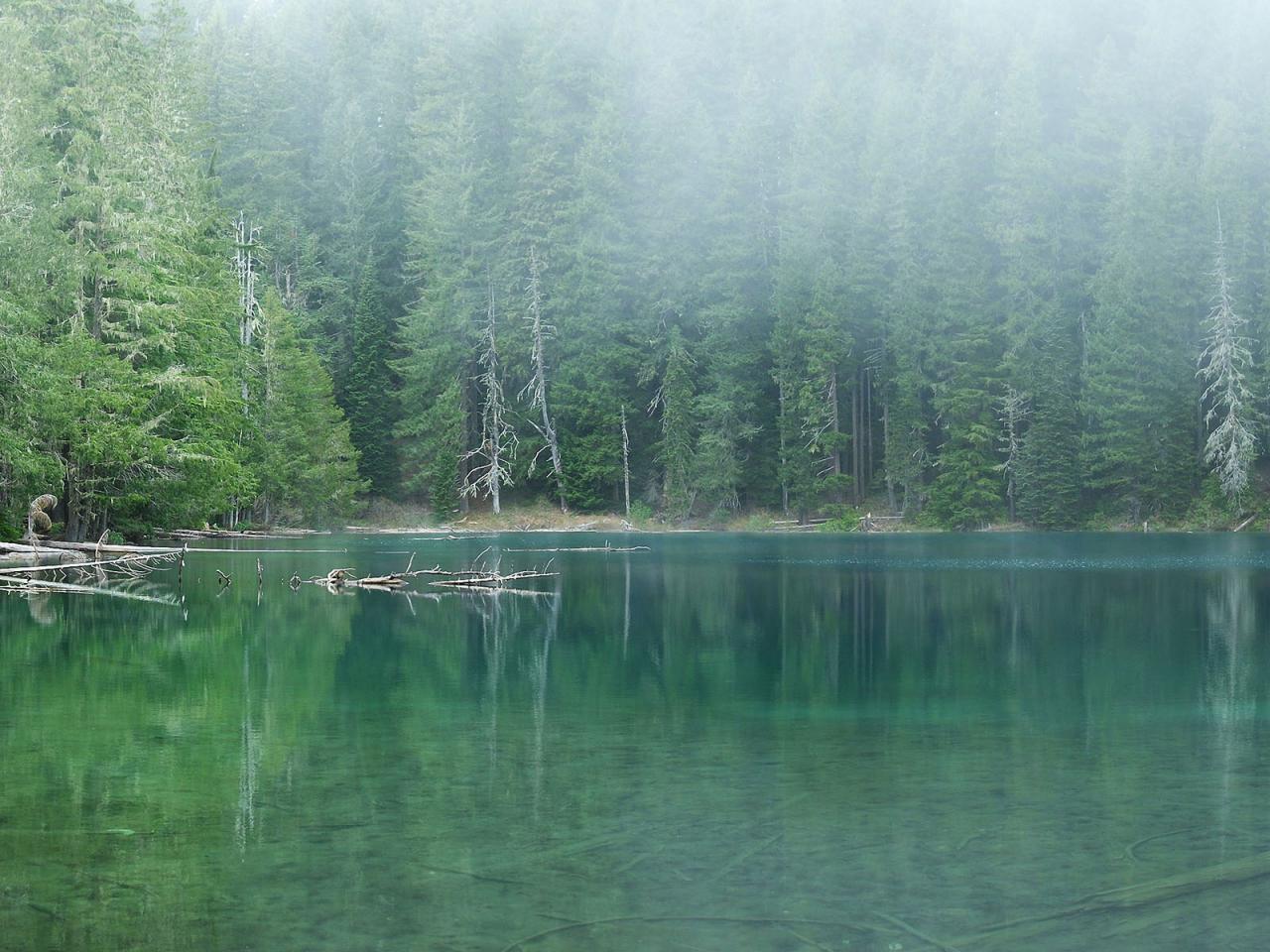 обои Туман на озере фото
