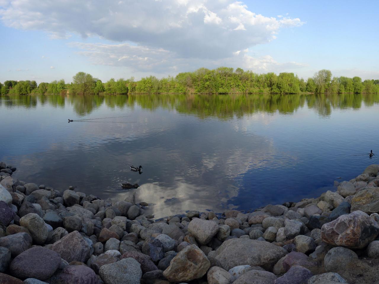 обои Камни,   вода,   лес фото