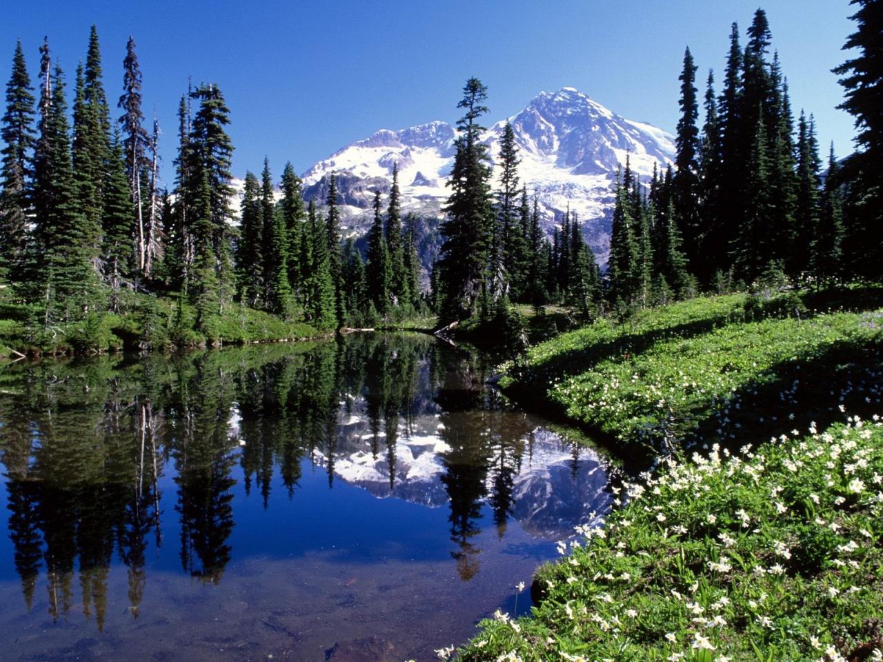 обои Mirror Lake Mount Rainier фото