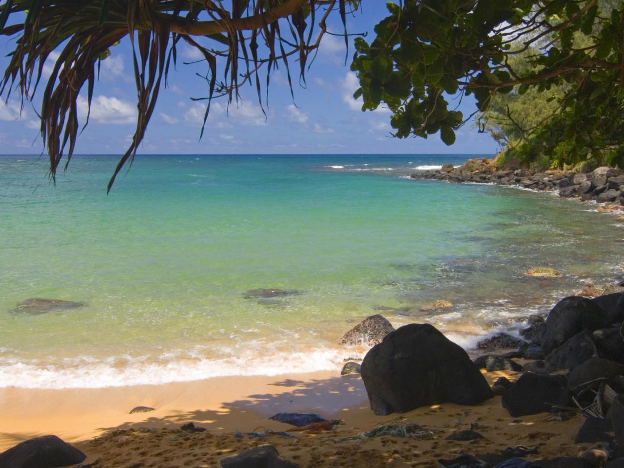 обои In the Shade Moloaa Kauai фото