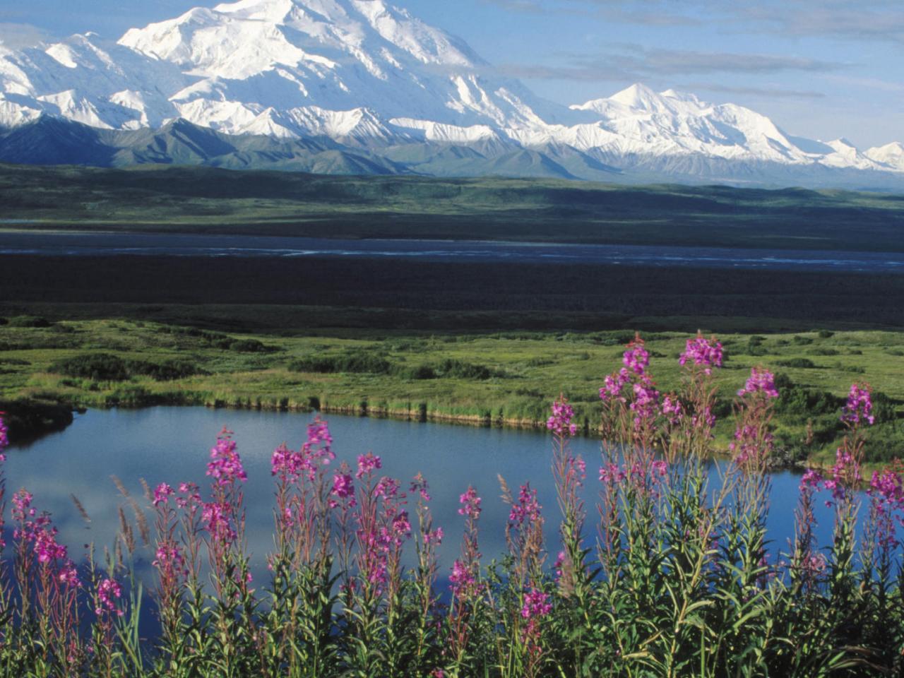 обои Mount McKinley,   Denali National Park,   Alaska фото