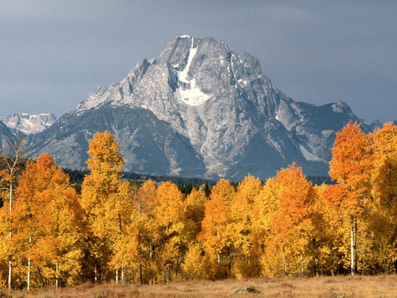 обои Mount Moran In Autumn Wyoming фото