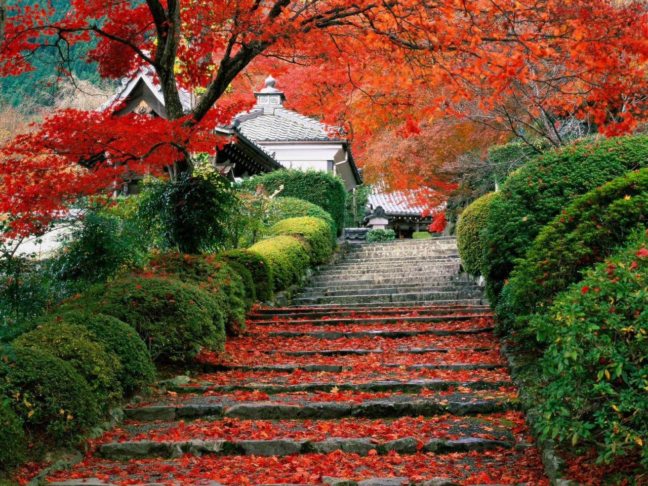 обои Garden Staircase Japan фото