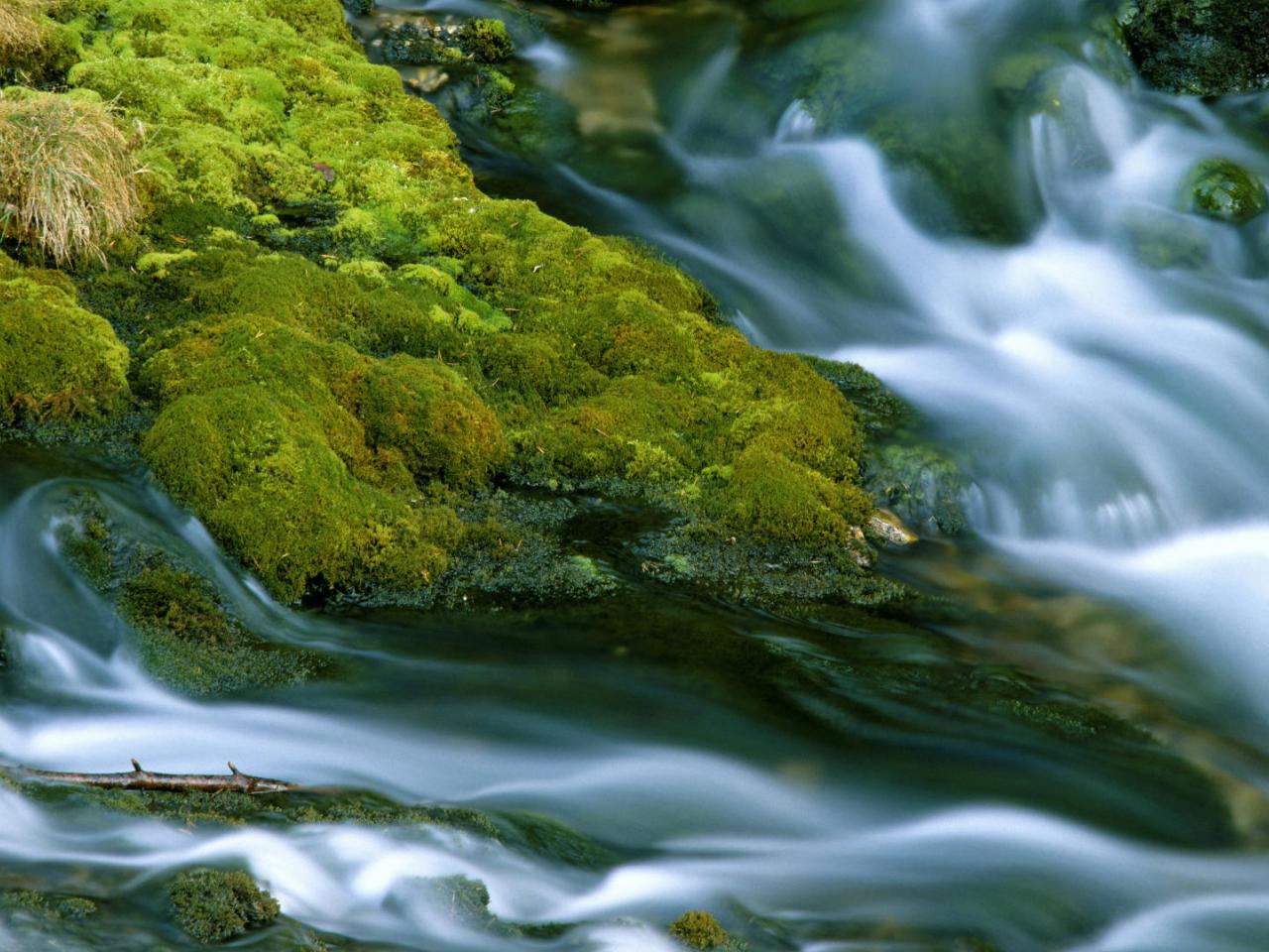 обои Mountain Stream,   Dolomites,   Italy фото