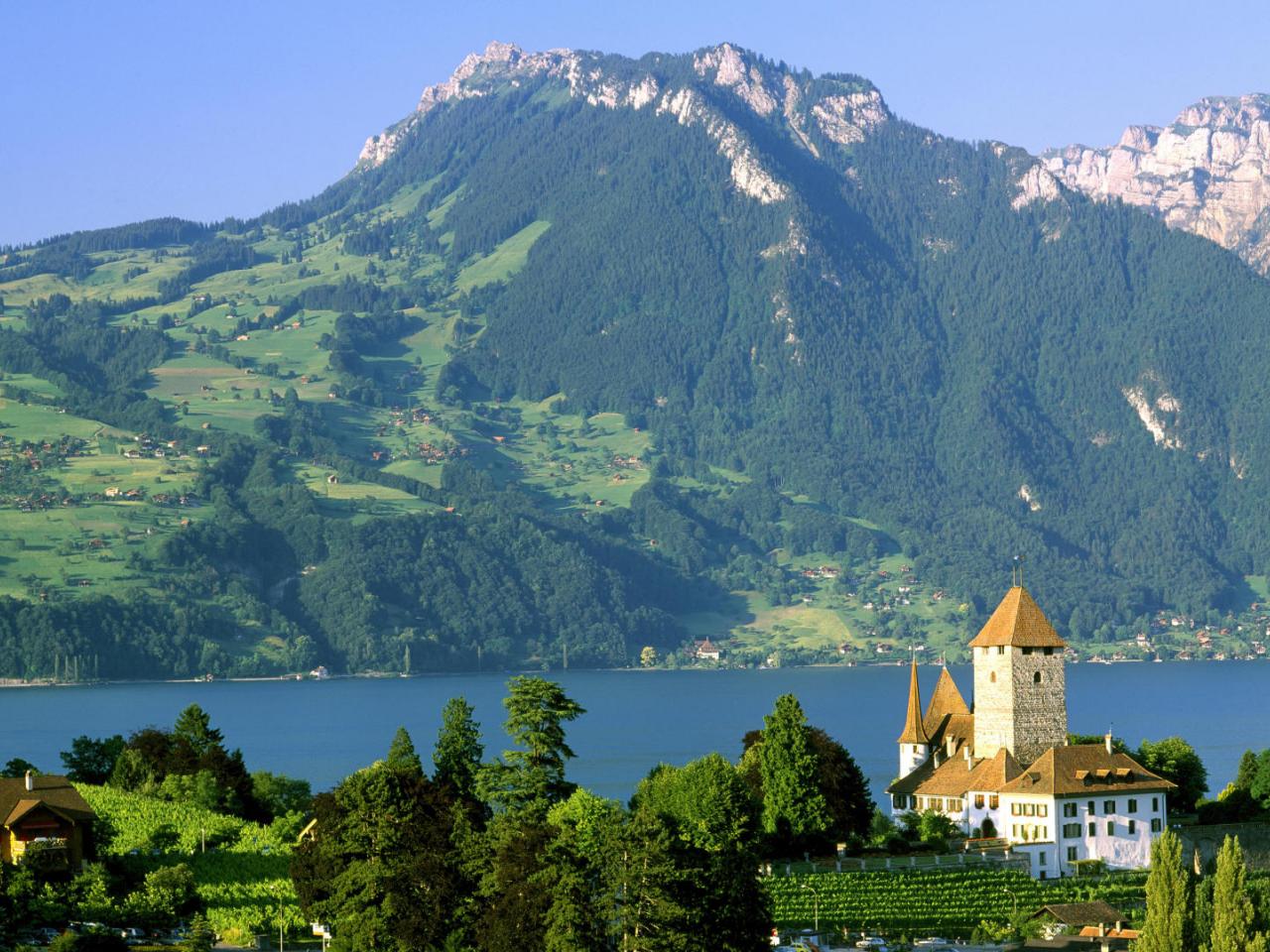 обои Spiez Castle,   Lake Thun,   Switzerland фото