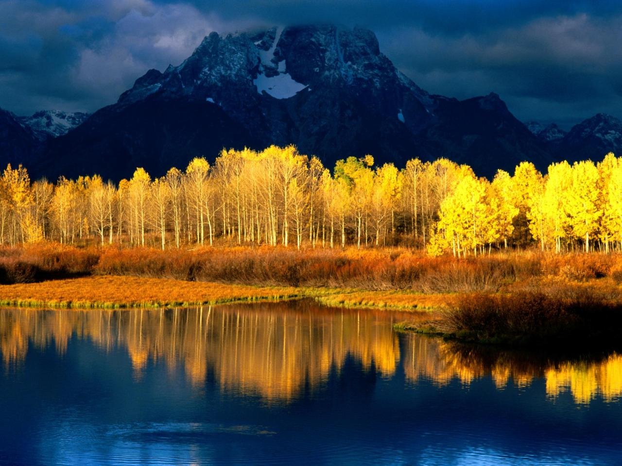 обои Quaking Aspen,   Mount Moran,   Grand Tetons,   Wyoming фото