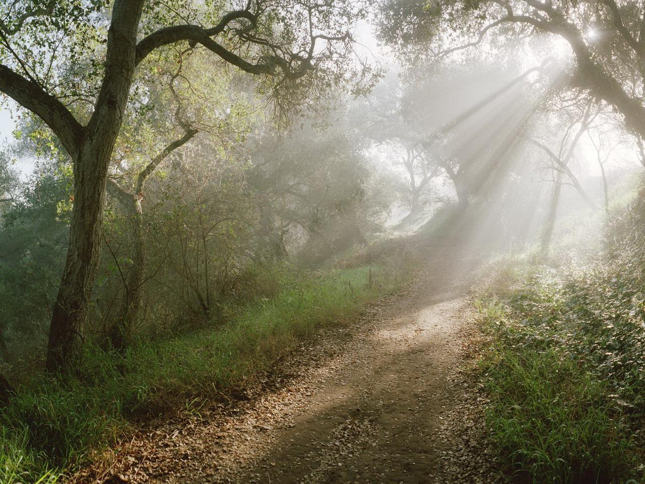 обои Douglas Family Preserve,   Santa Barbara,   Californ фото