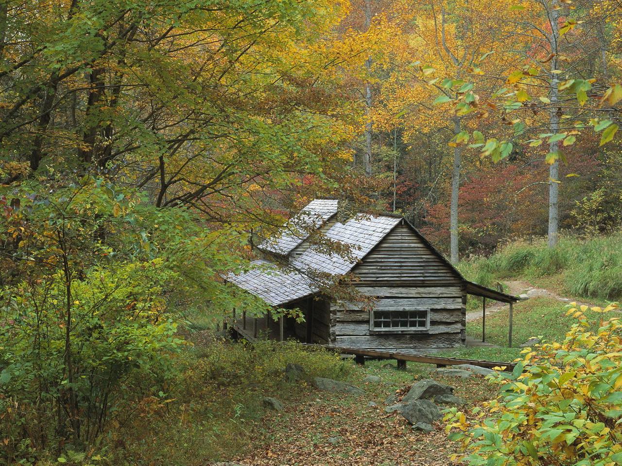 обои Homestead Cabin,   Smoky Mountains National Park,   Tennessee фото