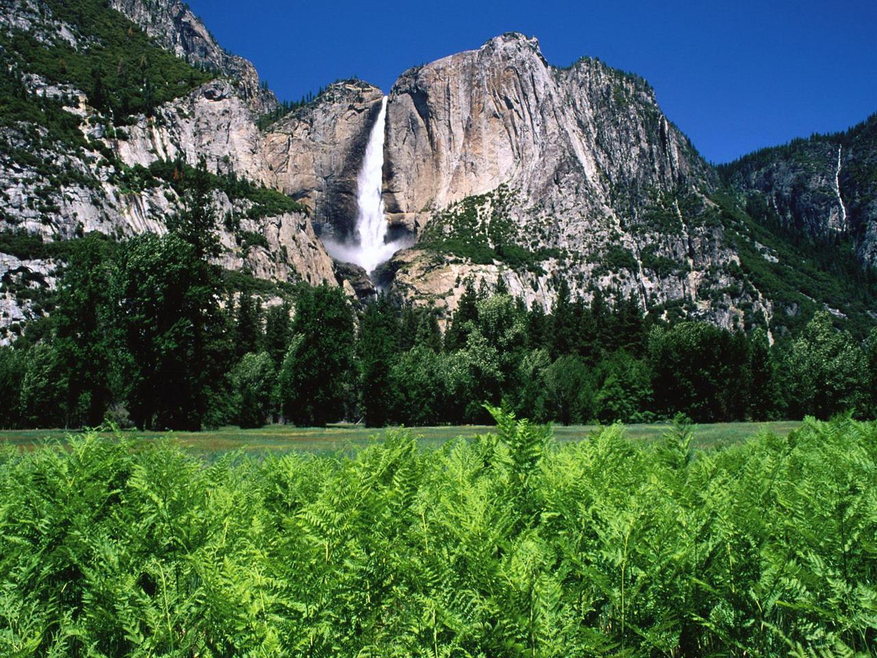 обои Yosemite Falls,   California фото