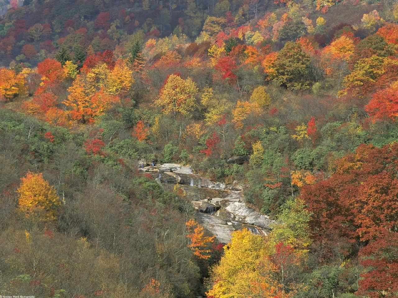 обои Changing Seasons,   Smoky Mountains National Park Tennessee фото