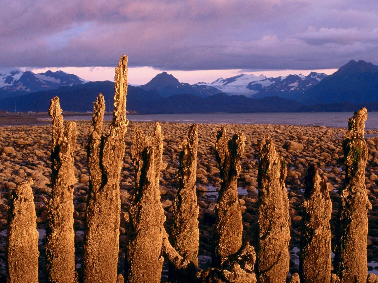 обои Low Tide,   Homer,   Alaska фото