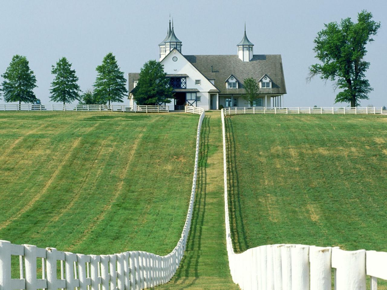 обои Manchester Farm,   Lexington,   Kentucky фото