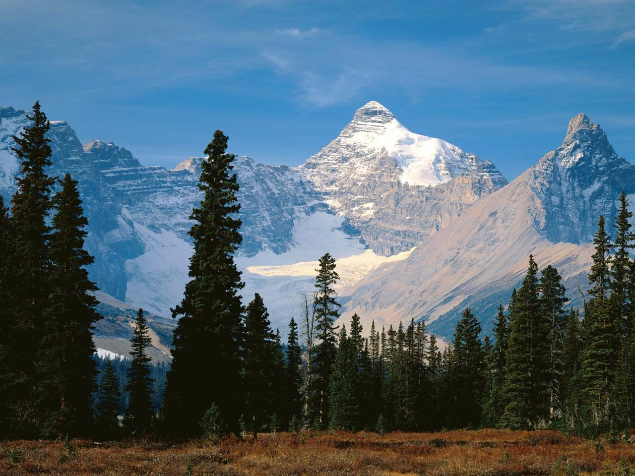 обои Mount Athabasca,   Jasper National Park,   Alberta фото