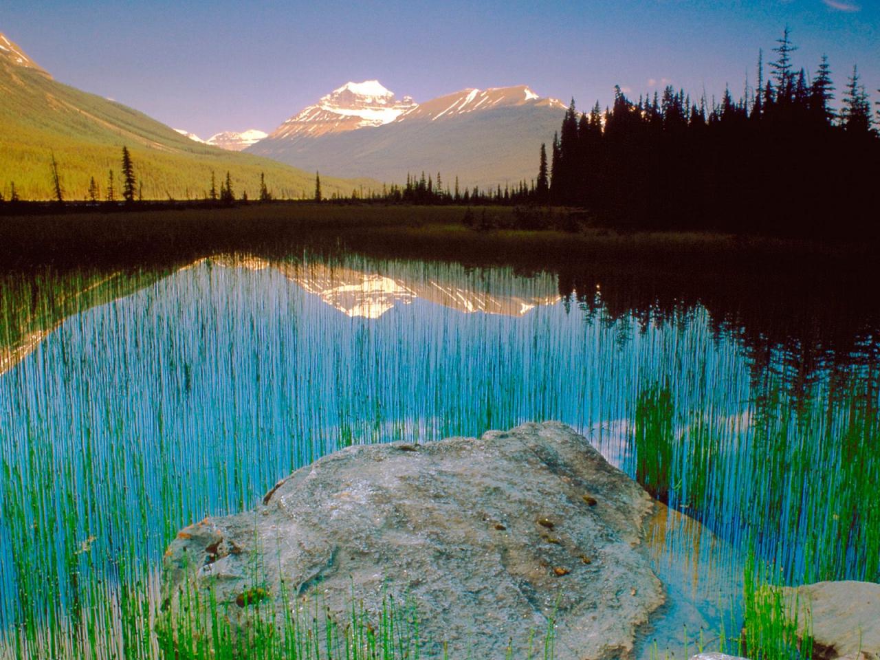 обои Mount Athabasca,   Jasper National Park,   Canada фото