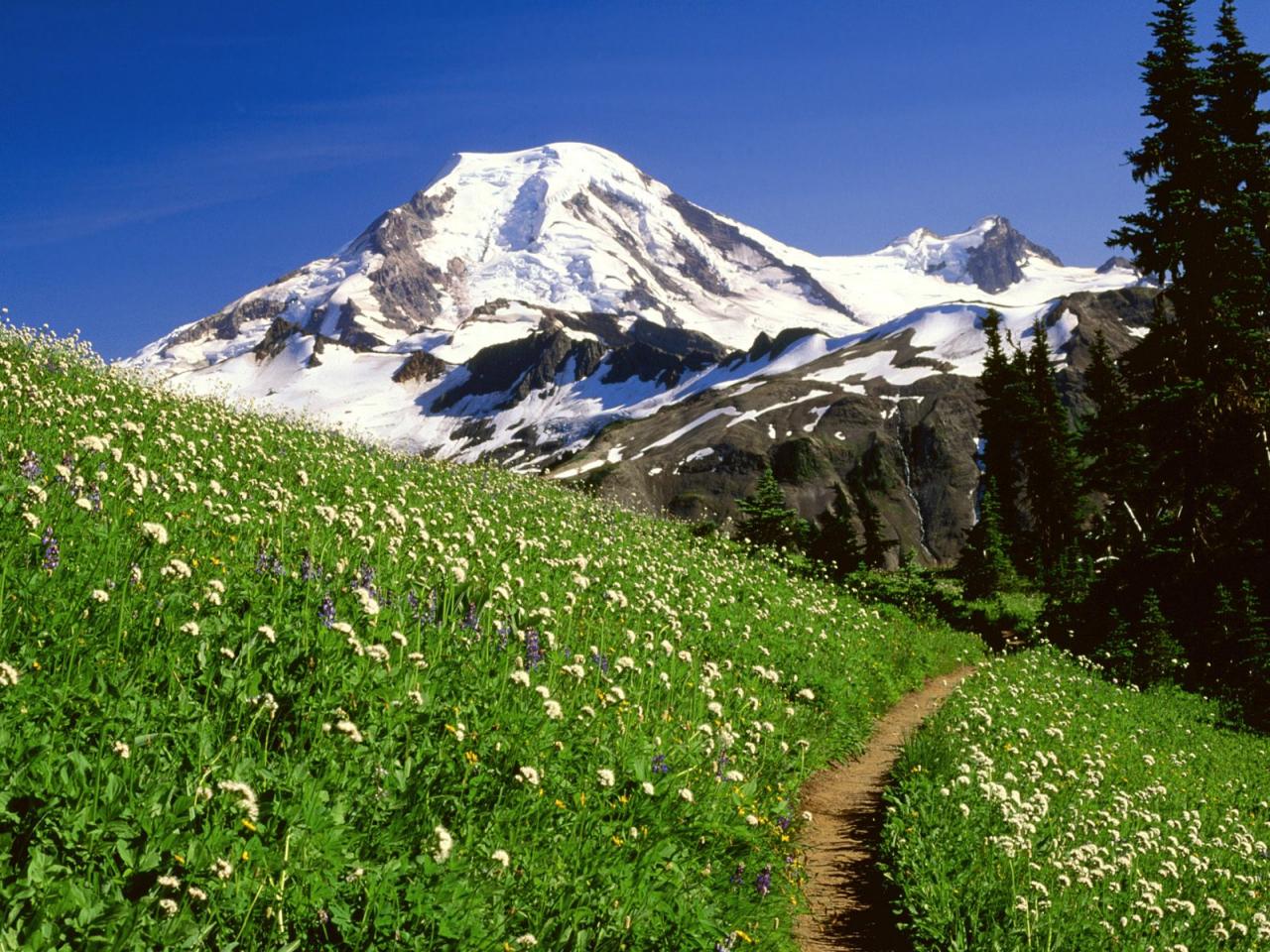 обои Mount Baker Snoqualmie,   National Forest,   Washington фото