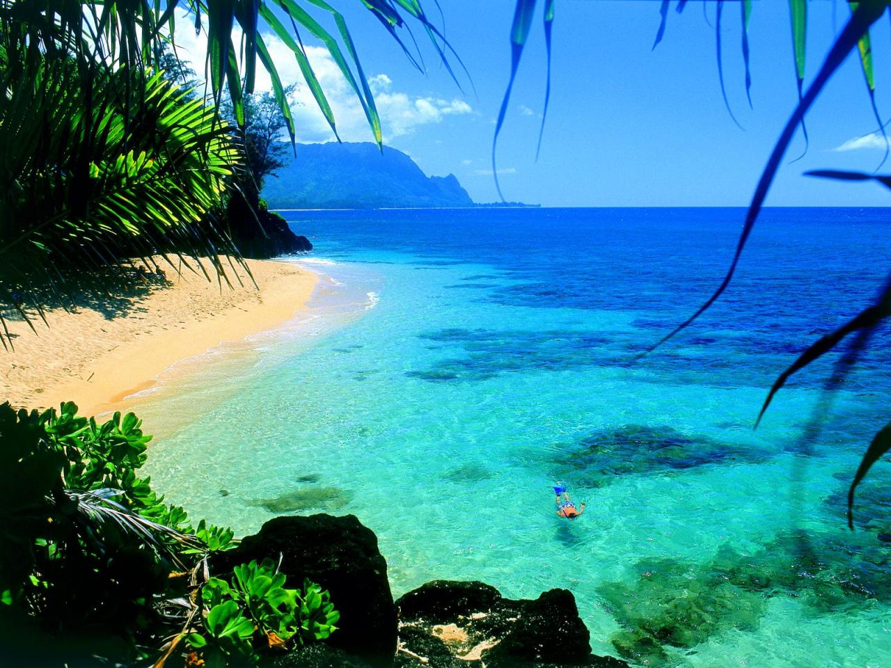 обои Snorkel Hawaii фото