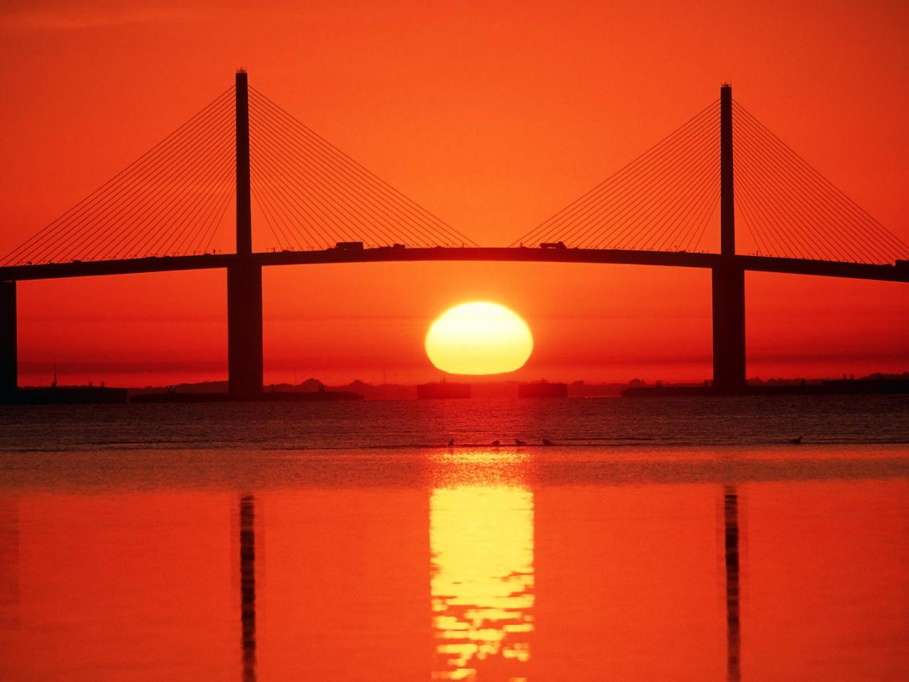 обои Sunshine Skyway Bridge,   Tampa Bay,   Florida фото