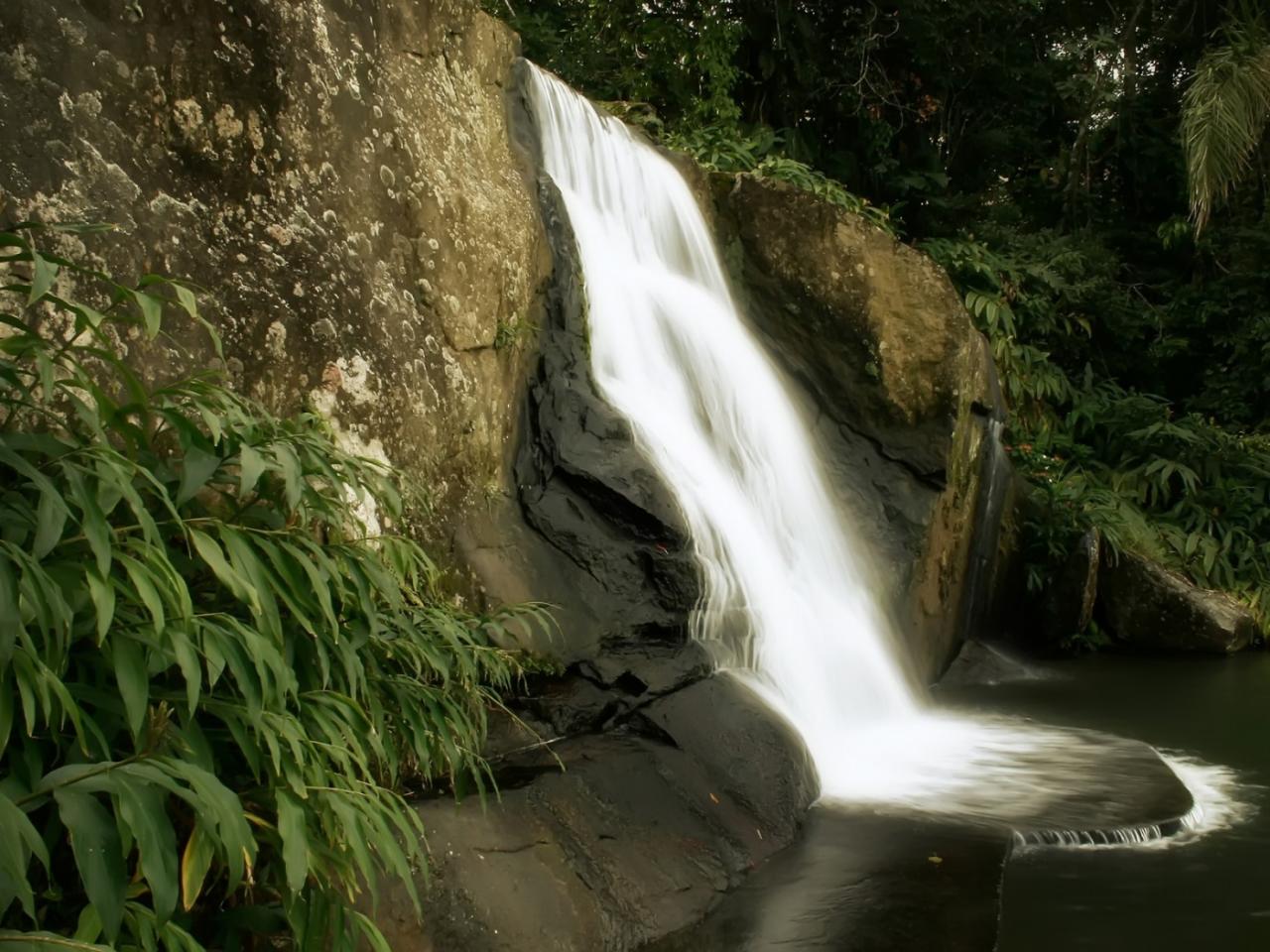 обои Jungle Waterfall фото