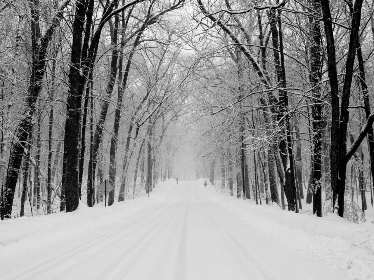 обои Snowy Road фото