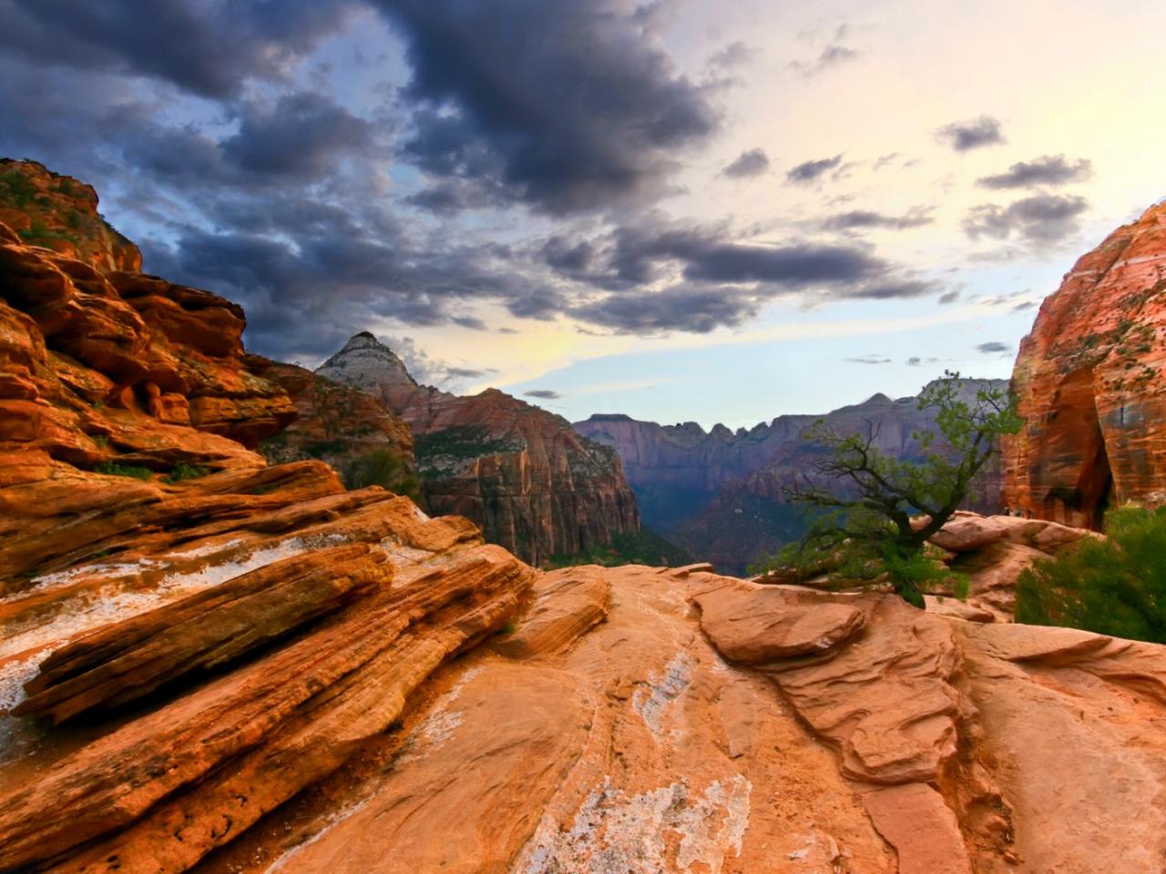 обои Zion National Park фото