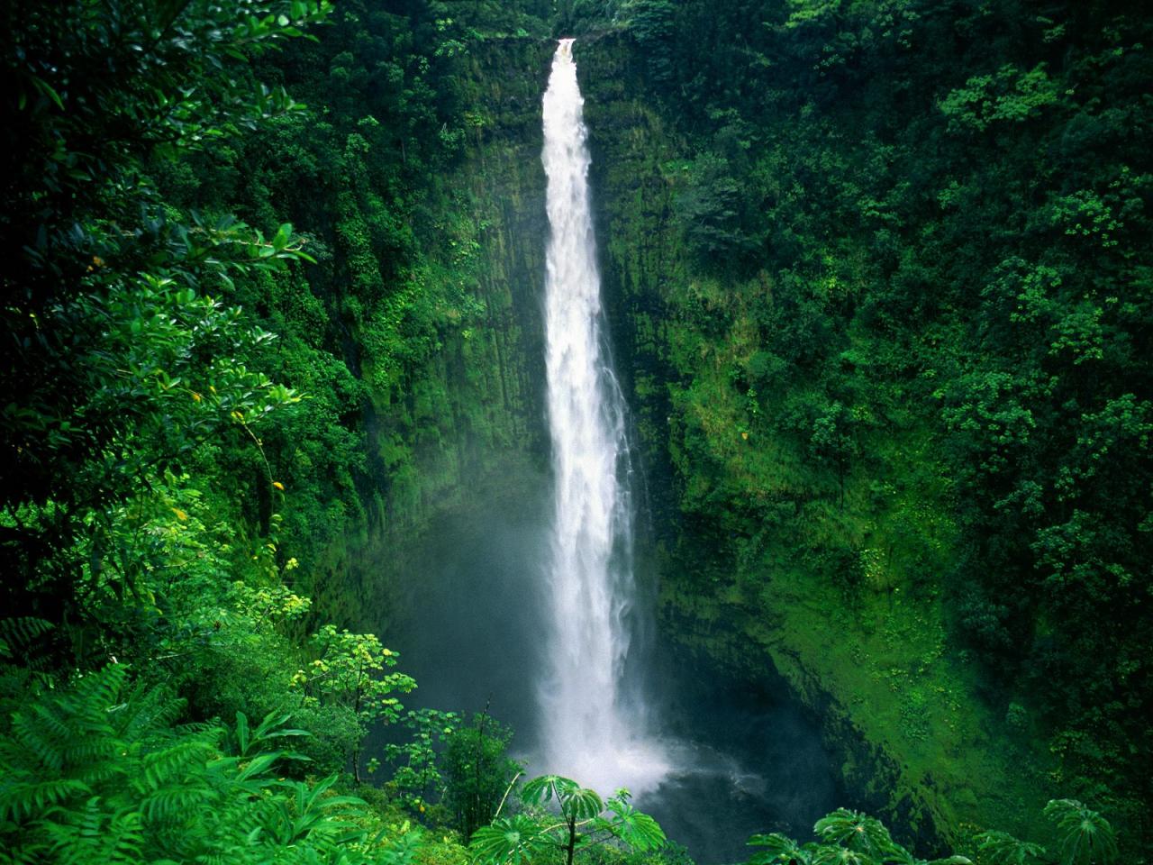 обои Akaka Falls,   Big Island фото