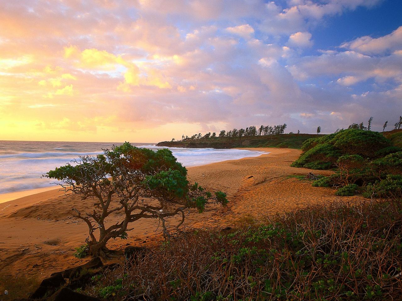 обои Donkey Beach,   Kauai фото