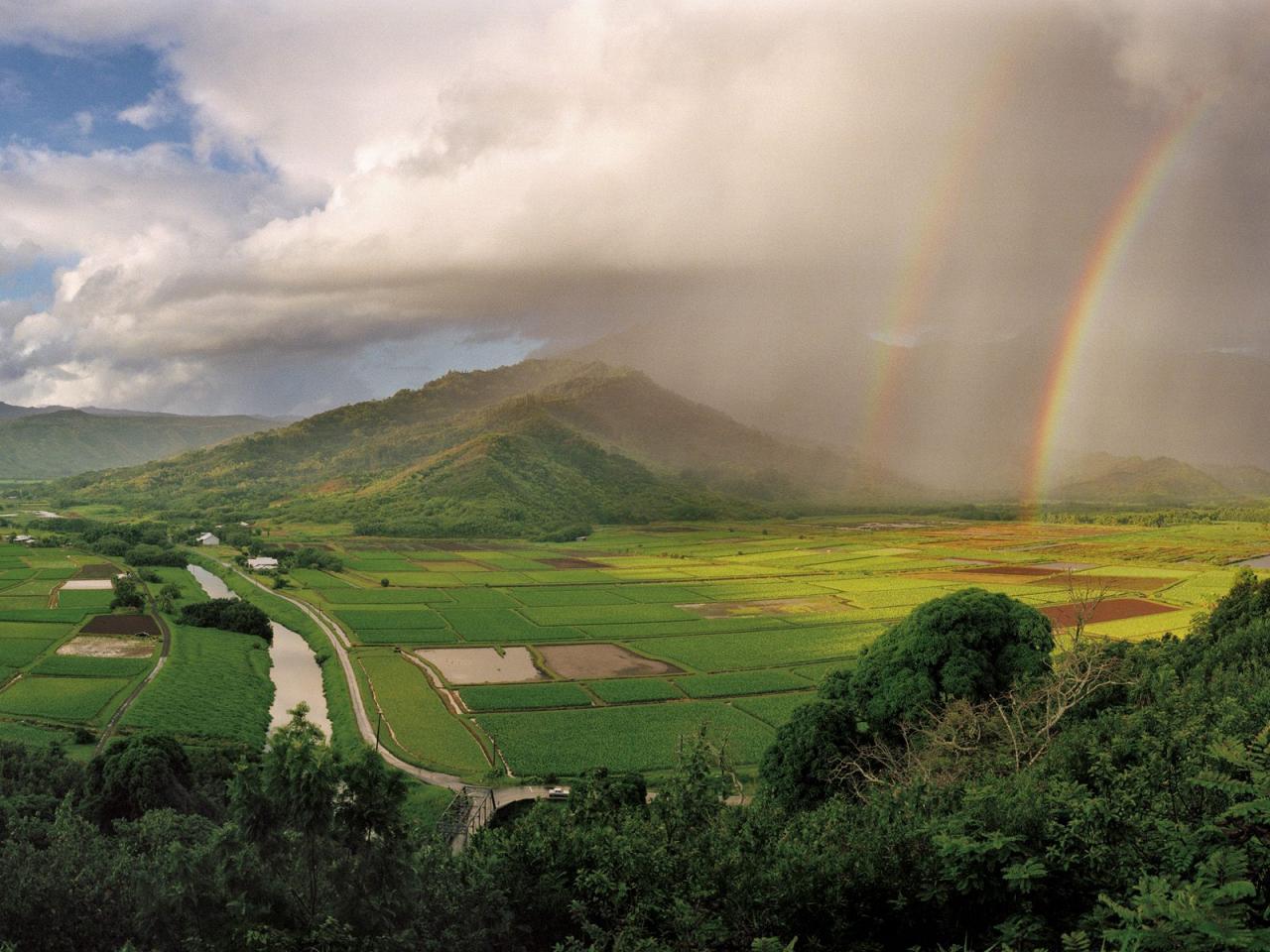 обои Hanalei River Valley,   Kauai фото