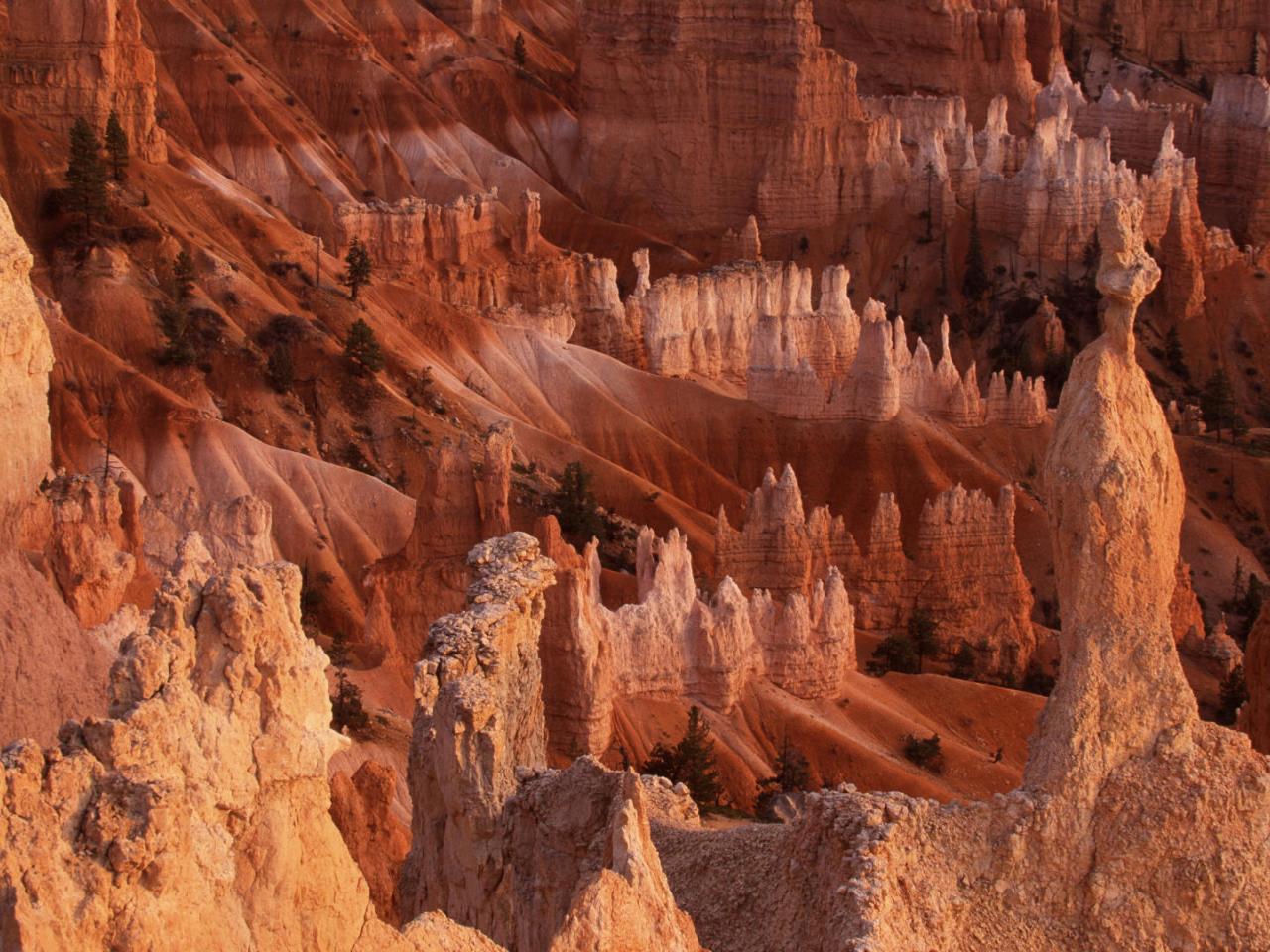 обои Bryce Canyon National Park,   Utah фото