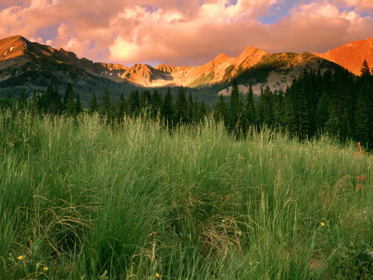 обои Clearing Storm Clouds in Schofield Pass,   Gunnison National Forest,   Colorado фото